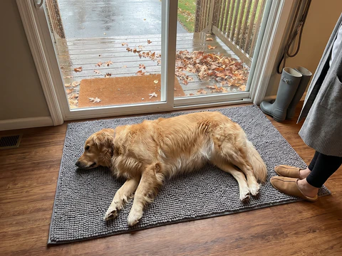 A large golden retriever stretched out on a grey Muddy Mat XL by a sliding glass door, the mat longer than the dog