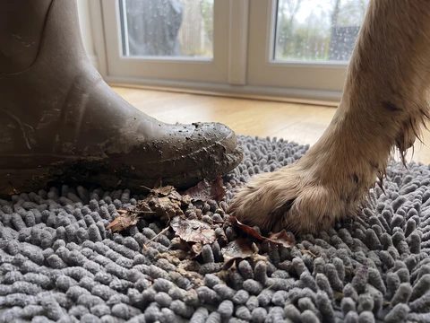 Close up of a muddy boot and a wet dog paw on the loops of a grey Muddy Mat, with mud and fall leaves caught in the loops