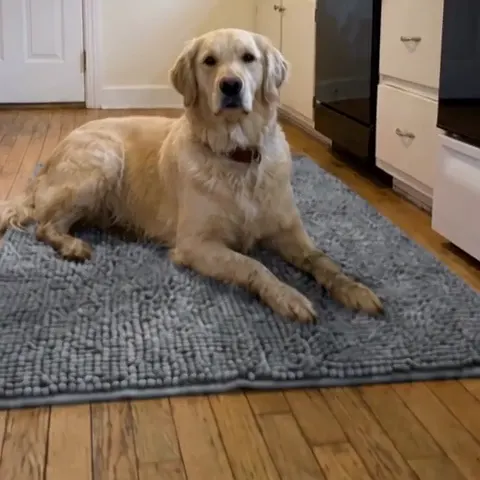A golden retriever lying down to rest on a grey Muddy Mat in a kitchen, clean wood floor around it