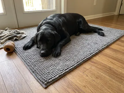 A big black Labrador lies stretched out and relaxed on a grey Muddy Mat on a wood floor