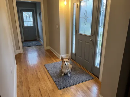 A small corgi sits on a grey Muddy Mat just inside the front door, and down the hall a second grey Muddy Mat lies inside the kitchen door