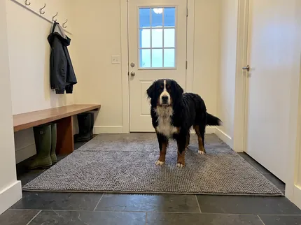 A large shaggy Bernese mountain dog stands on a big grey Muddy Mat that covers the floor in front of a mudroom door, boots under a bench beside it