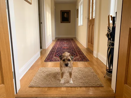 A beige Muddy Mat just inside a front door with a small terrier standing on it, and a long red and navy Persian runner on the clean hardwood hall floor beyond